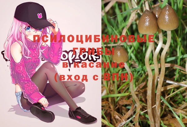 mix Алексин