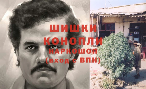 трава Алзамай