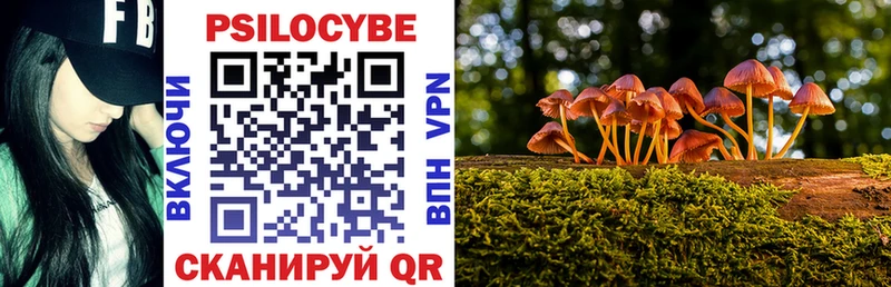 Купить где  Волгореченск  Псилоцибиновые грибы мицелий 